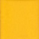 12x12" Perga pastell Solar
